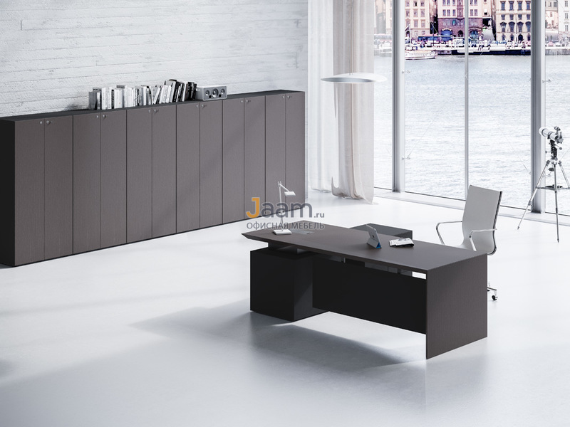 Кабинет руководителя MultipliCEO